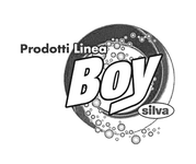 BOY SILVA